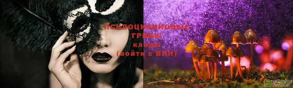 герыч Грязовец