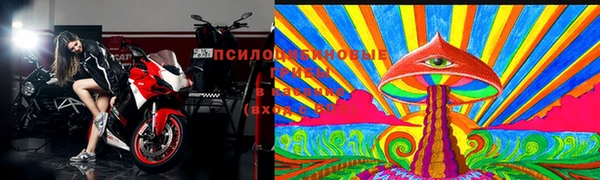 крисы Волоколамск