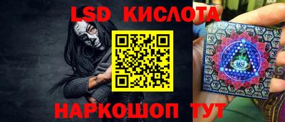 прущие грибы Можга