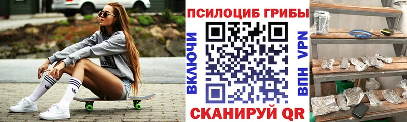 закладки  Вязьма  Галлюциногенные грибы MAGIC MUSHROOMS 