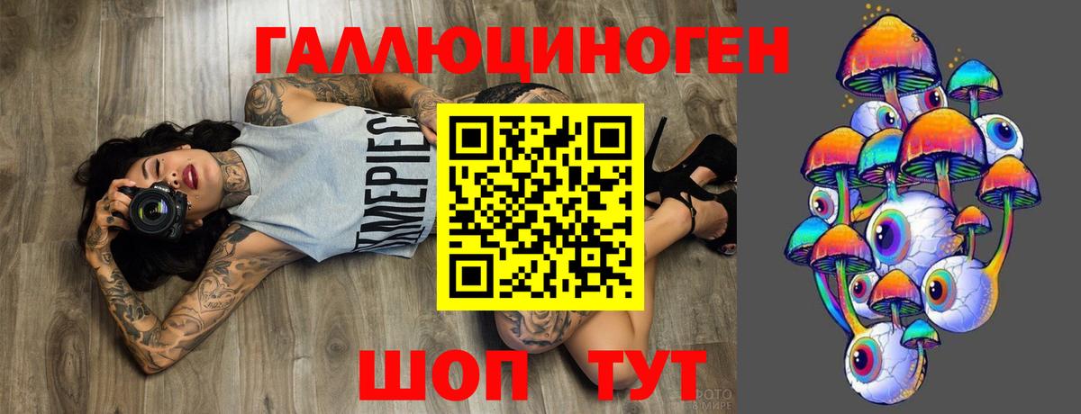Вязьма  Псилоцибиновые грибы MAGIC MUSHROOMS  Псилоцибиновые грибы GOLDEN TEACHER  Вход с VPN 