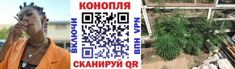 ссылка на мегу вход Вязьма Шишки марихуана THC 21%